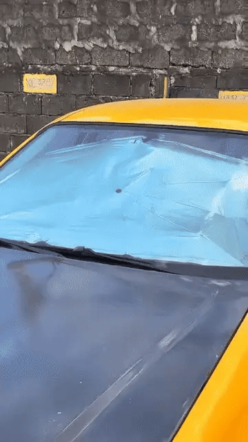 Denx - Portable Car Umbrella